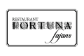 fortuna fajans logo