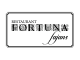 fortuna fajans logo